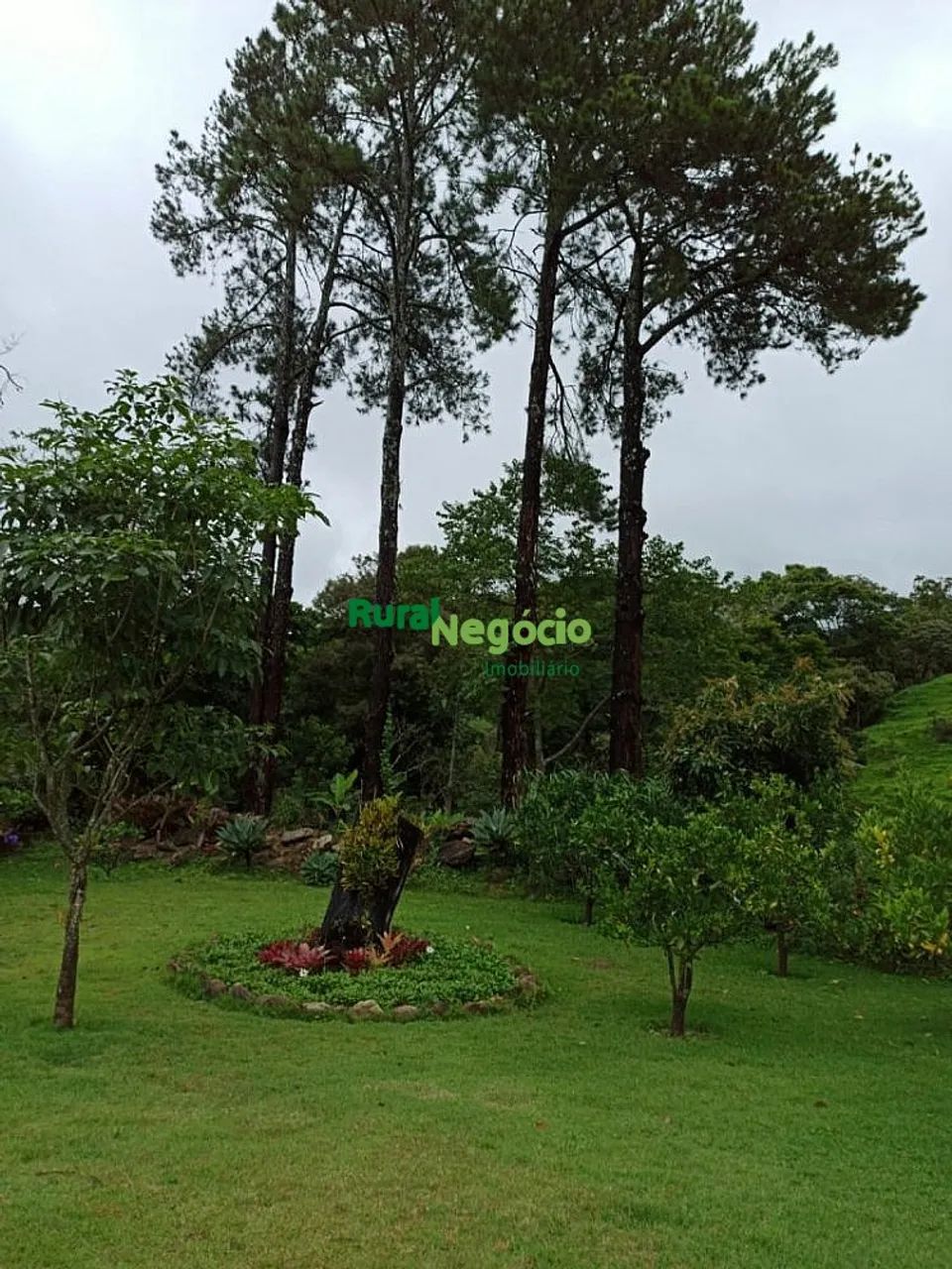CHÁCARA FORMADA COM RIBEIRÃO EM PASSA-QUATRO - MG - Foto 5
