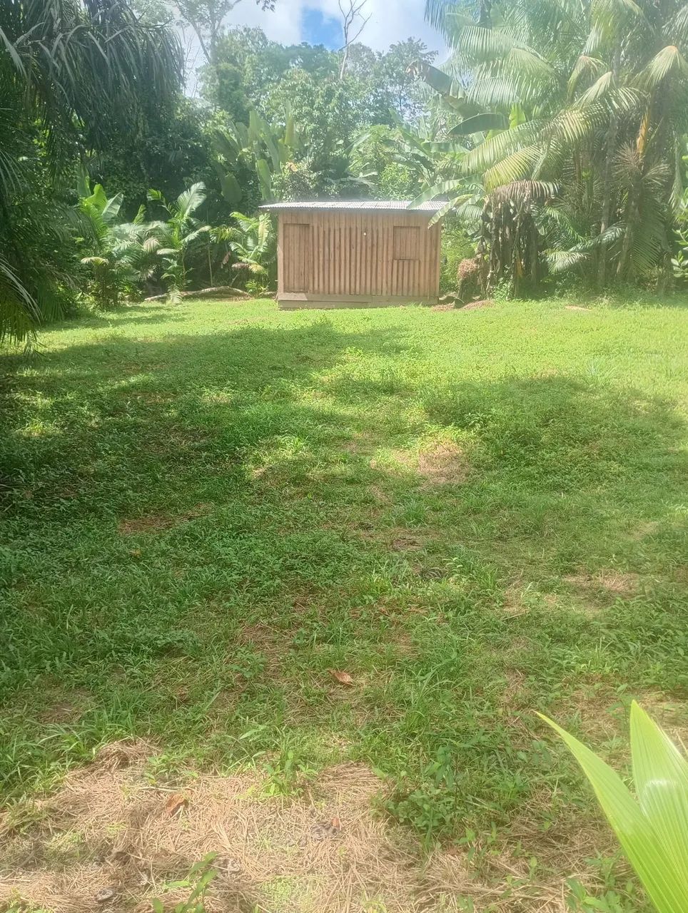 Terreno com Casa no Pará -Acara - Foto 2
