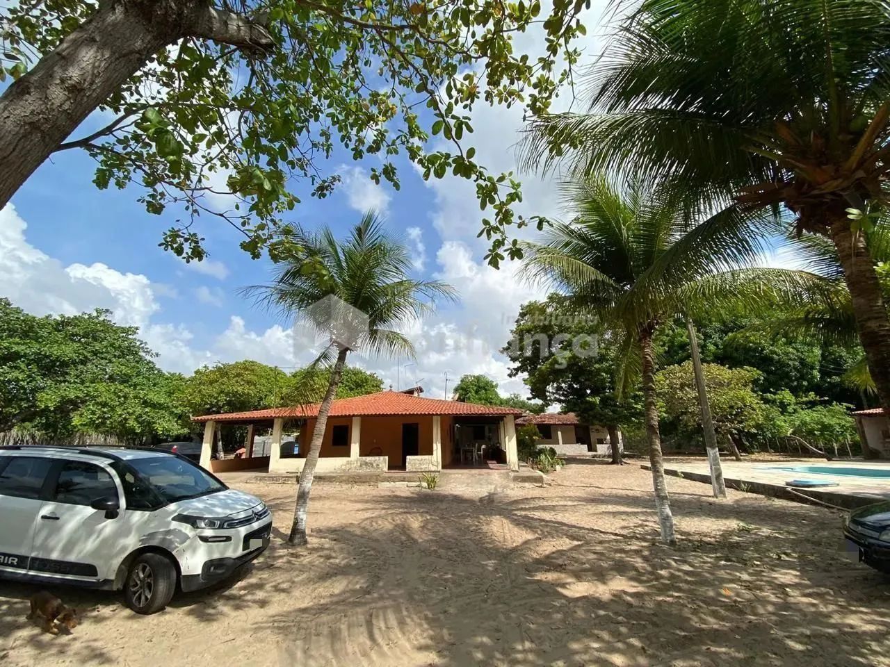 Sítio a Venda em São Gonçalo do Amarante/CE - Foto 3