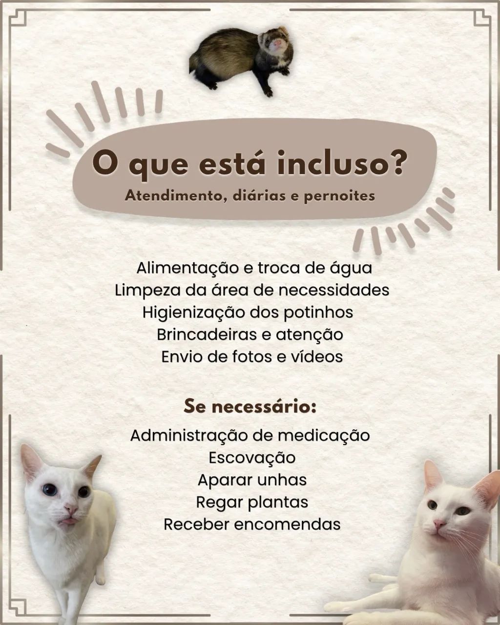Cuidadores de Pet/Catsitter/Petsitter - Foto 3