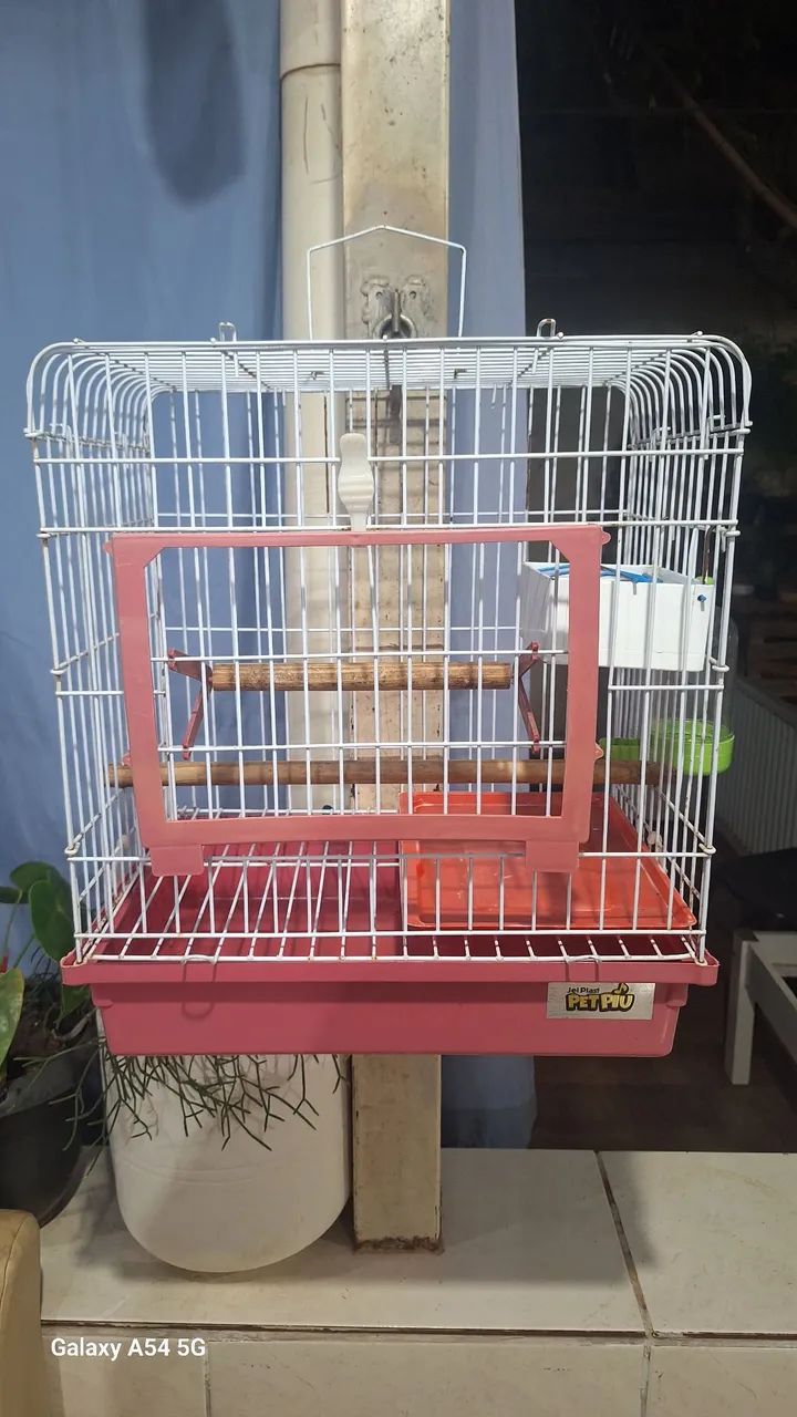 Gaiola - Foto 4