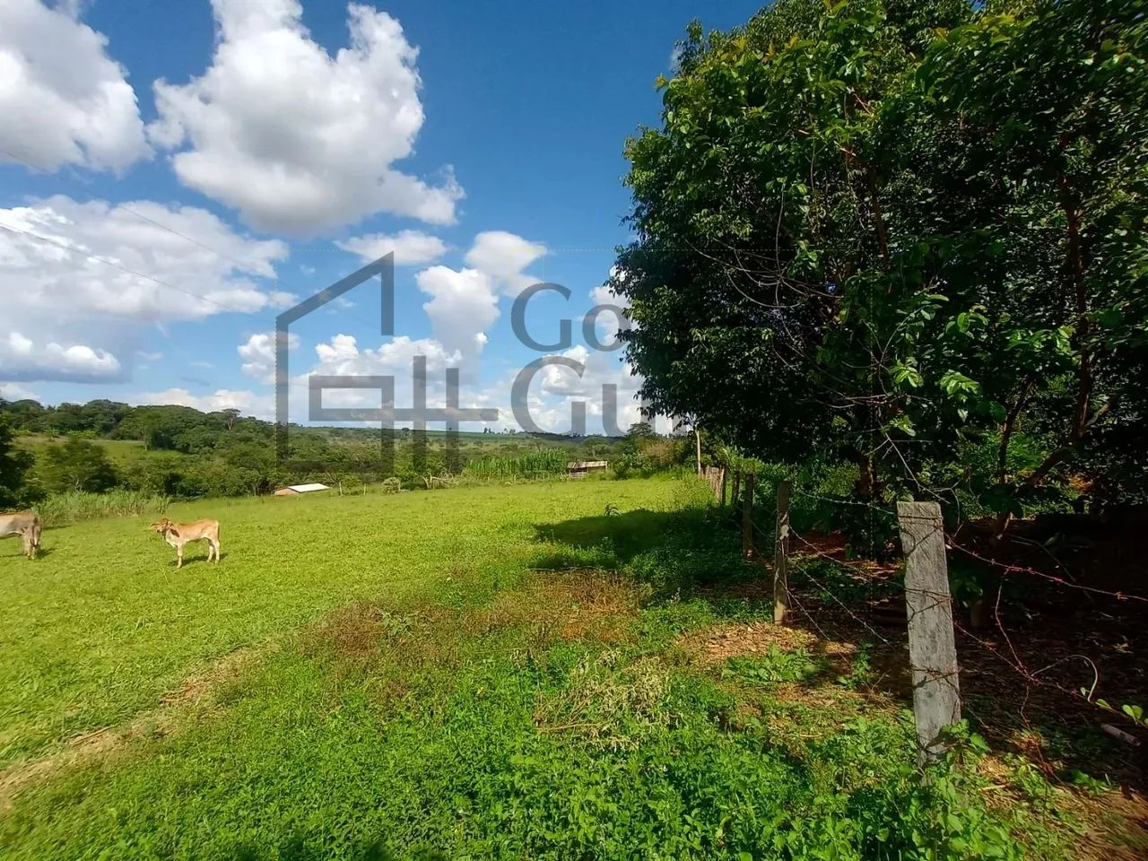 Chácara - Zona Rural - Abadiânia
