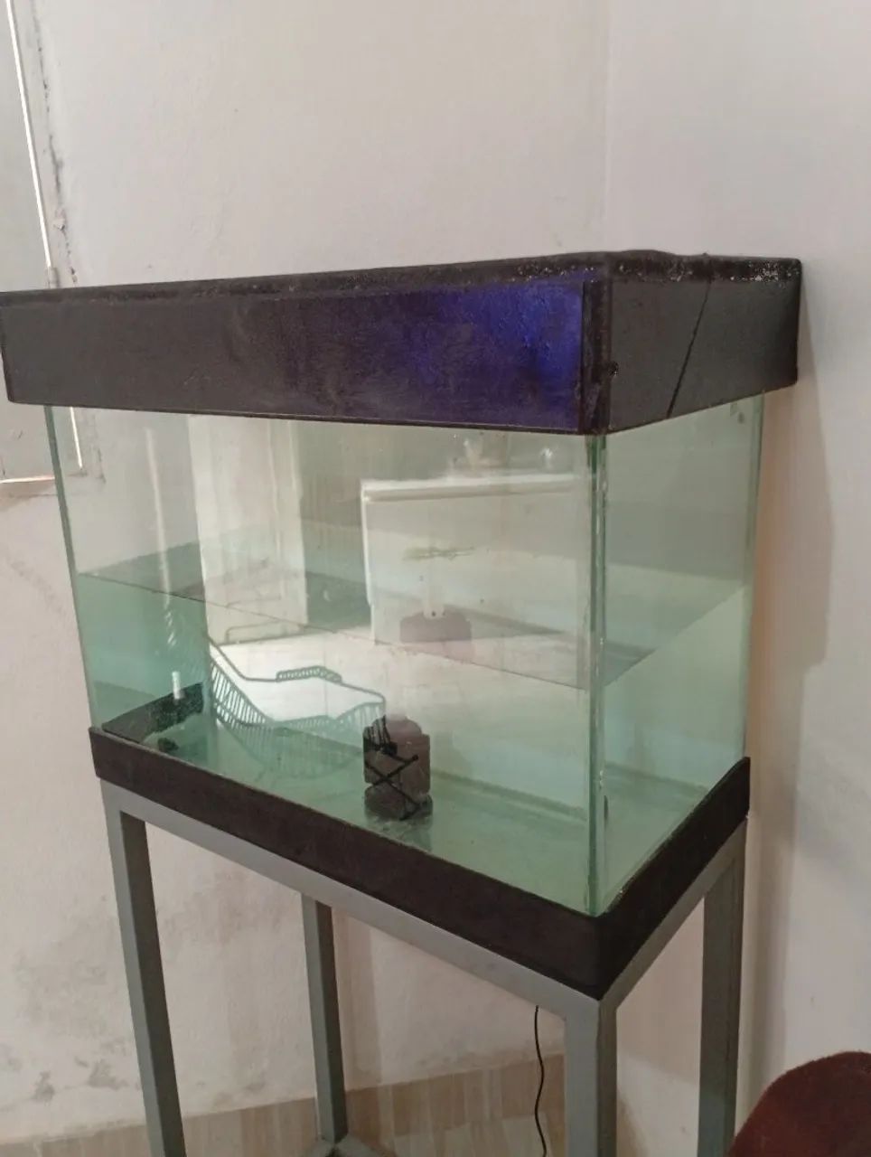 Aquário de peixe - Foto 2