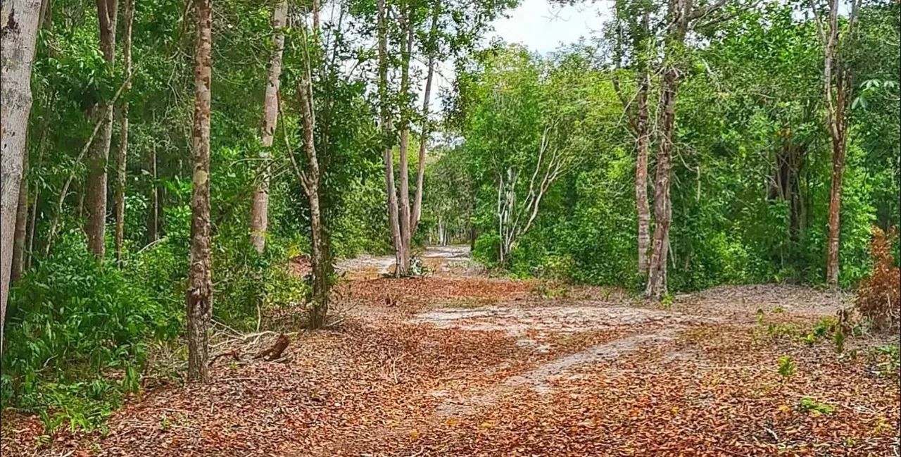 Terreno 500 m² - Condomínio Marina Santo André (Santa Cruz Cabrália/BA) - Aceito Permuta - Foto 2