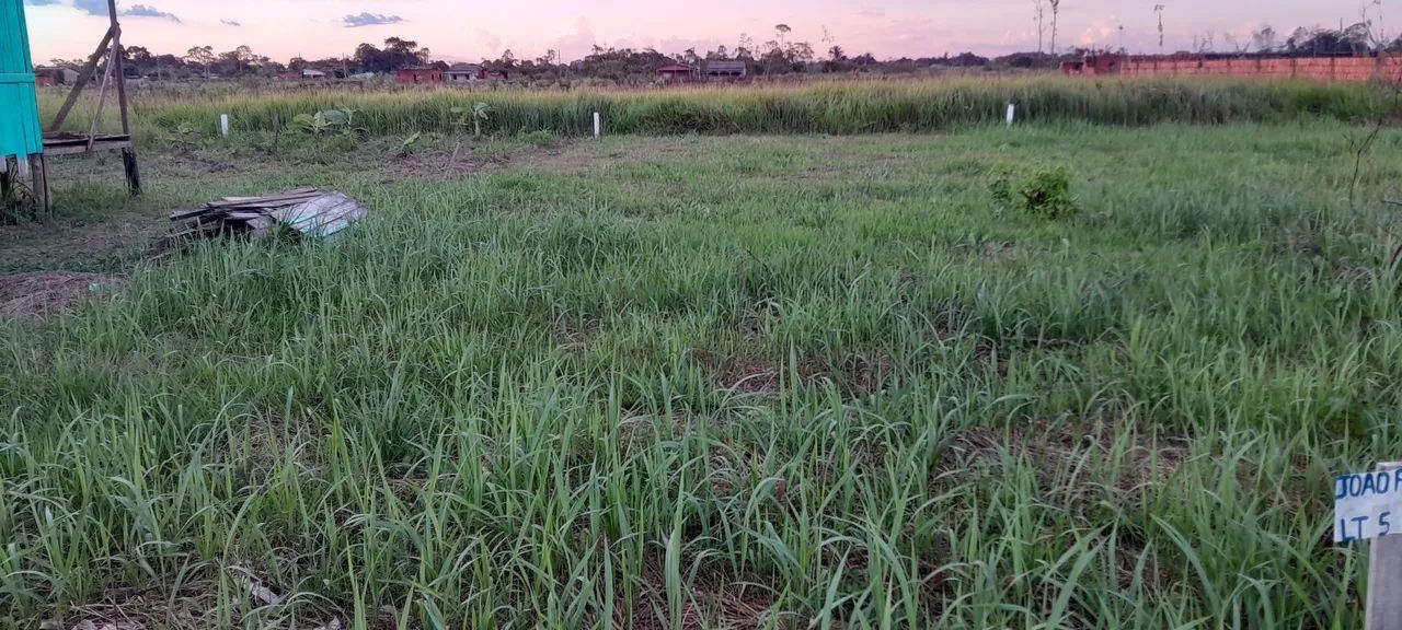 Vendo um terreno 10x25 - Foto 5