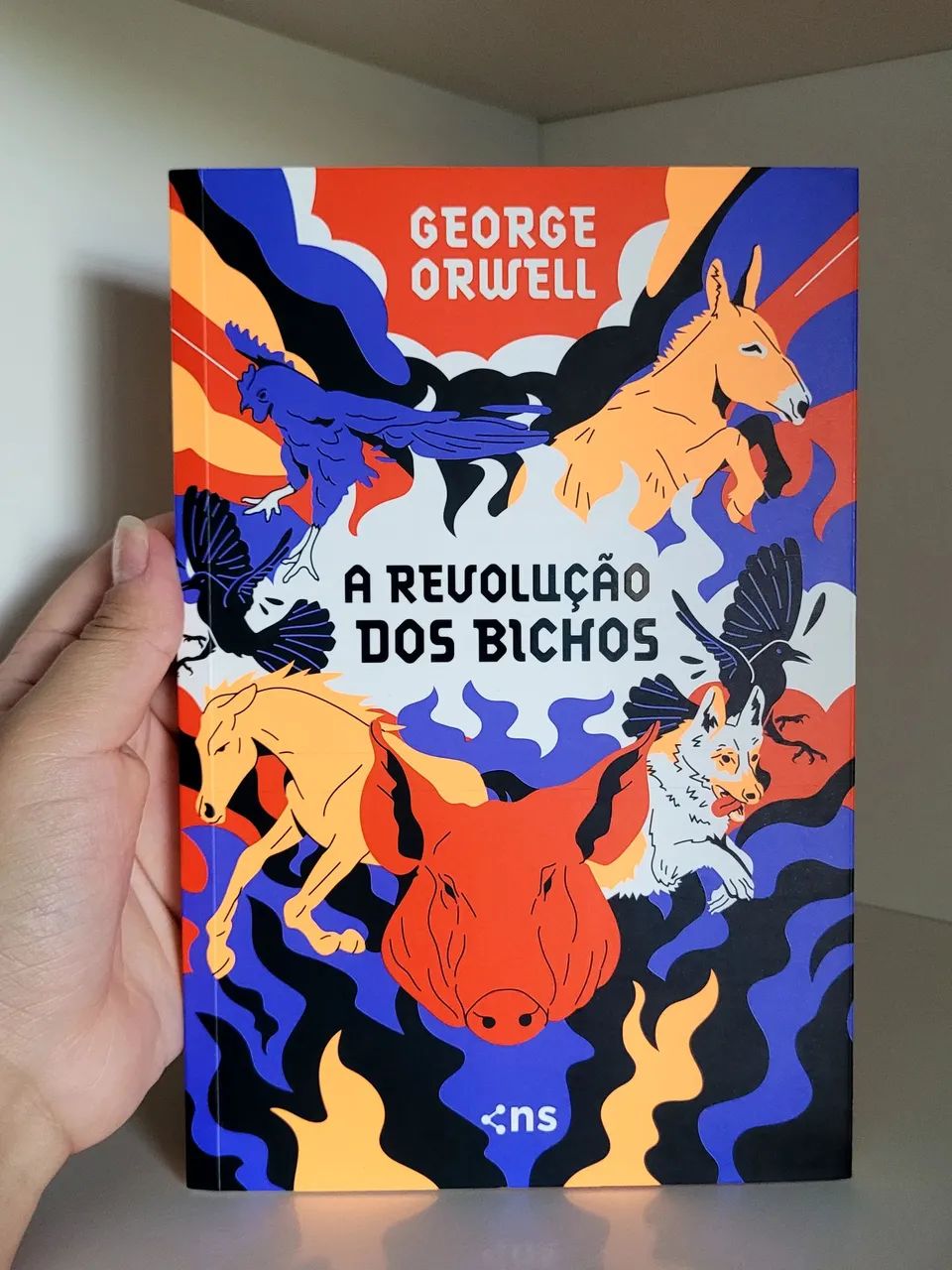 Box George Orwell - NS Editora - Foto 3