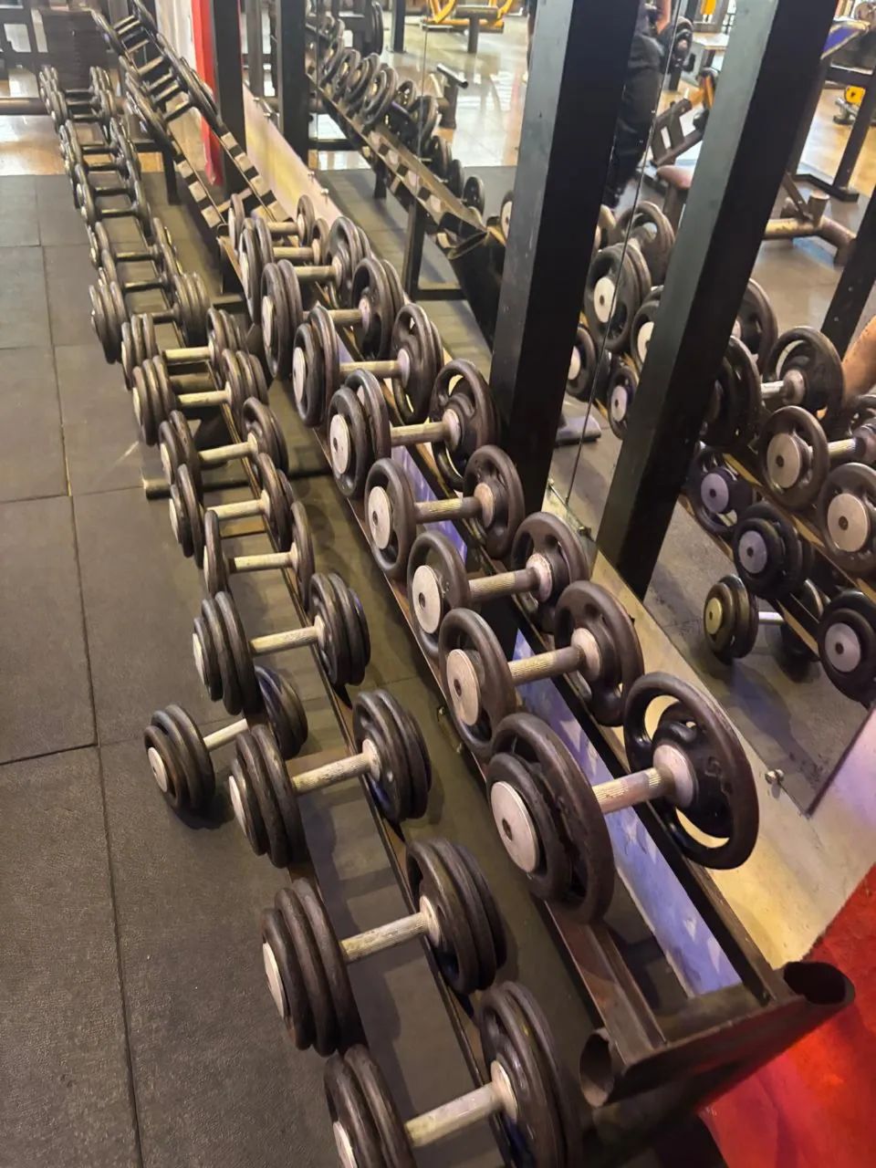 Halteres (DUMBELLS) com suporte - Foto 3