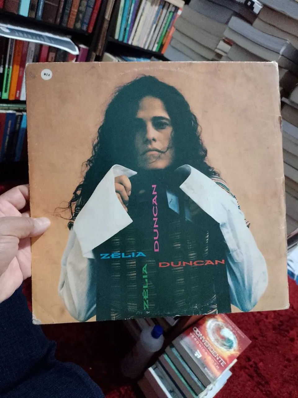 Vinil - Zélia Duncan - (1994) - CDs, DVDs etc - Jardim Novo Santo