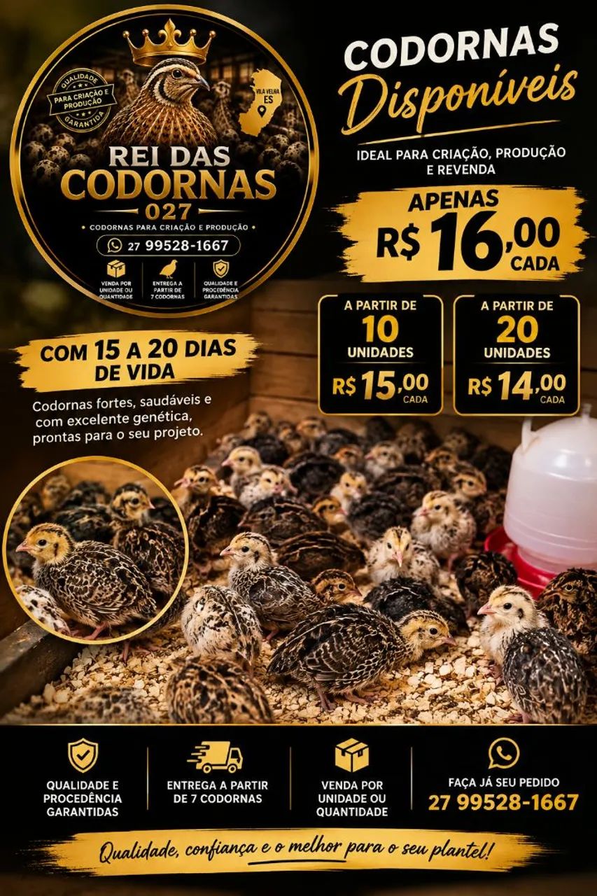 CODORNAS DISPONÍVEIS PARA CRIAÇÃO E PRODUÇÃO