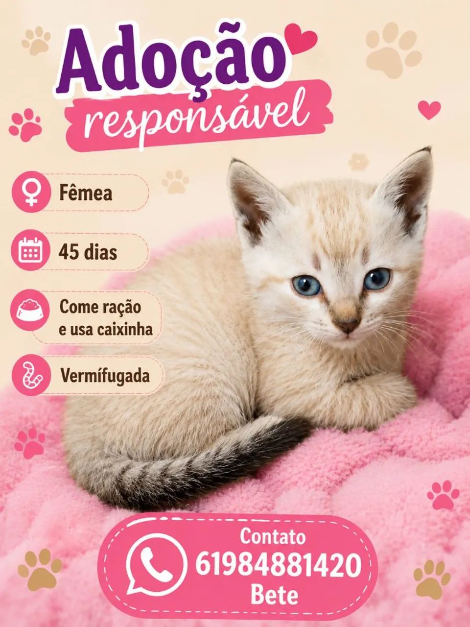 Gata