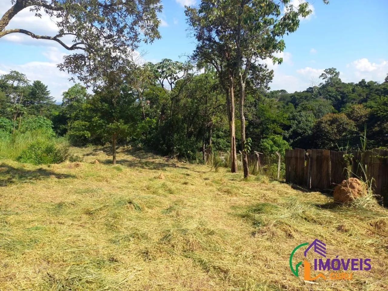 TERRENO - VISTA ALEGRE - SP - Foto 3