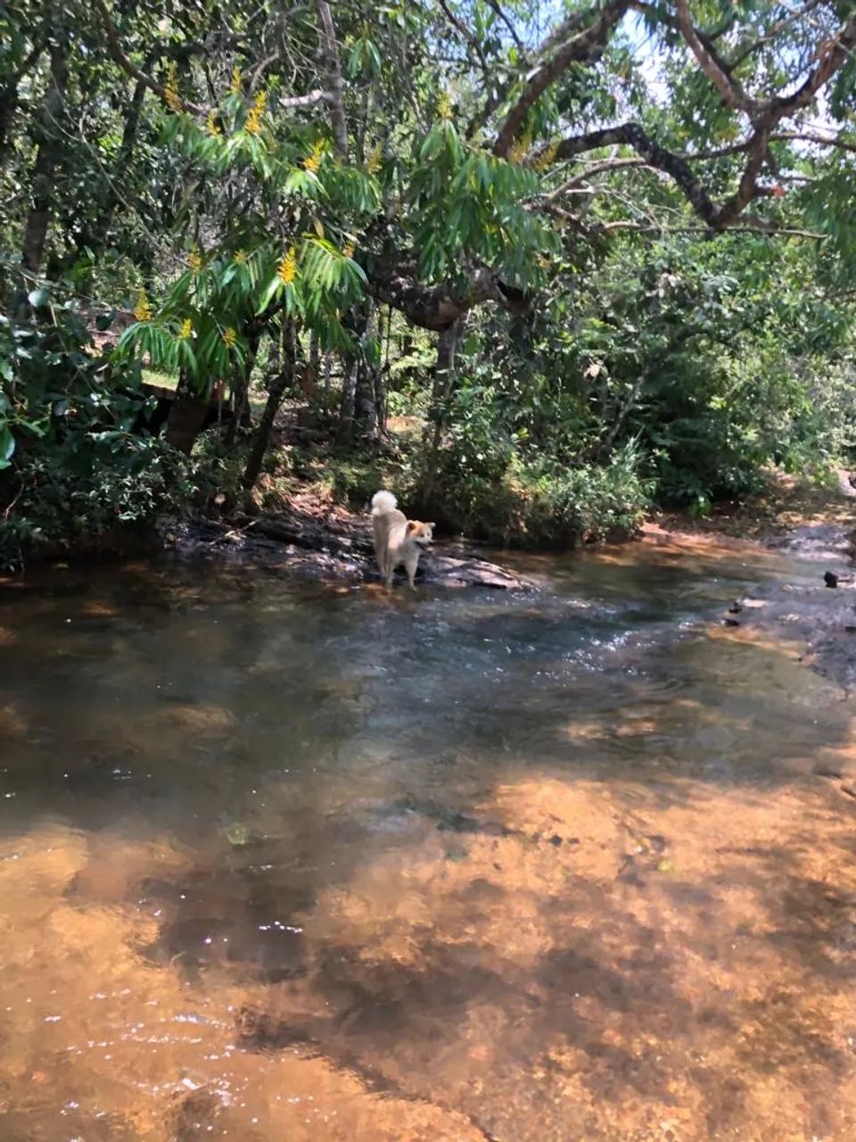 Foto - Chapada dos Guimarães - 