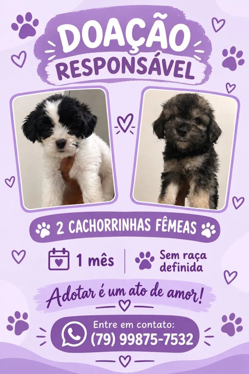 Pets doação 