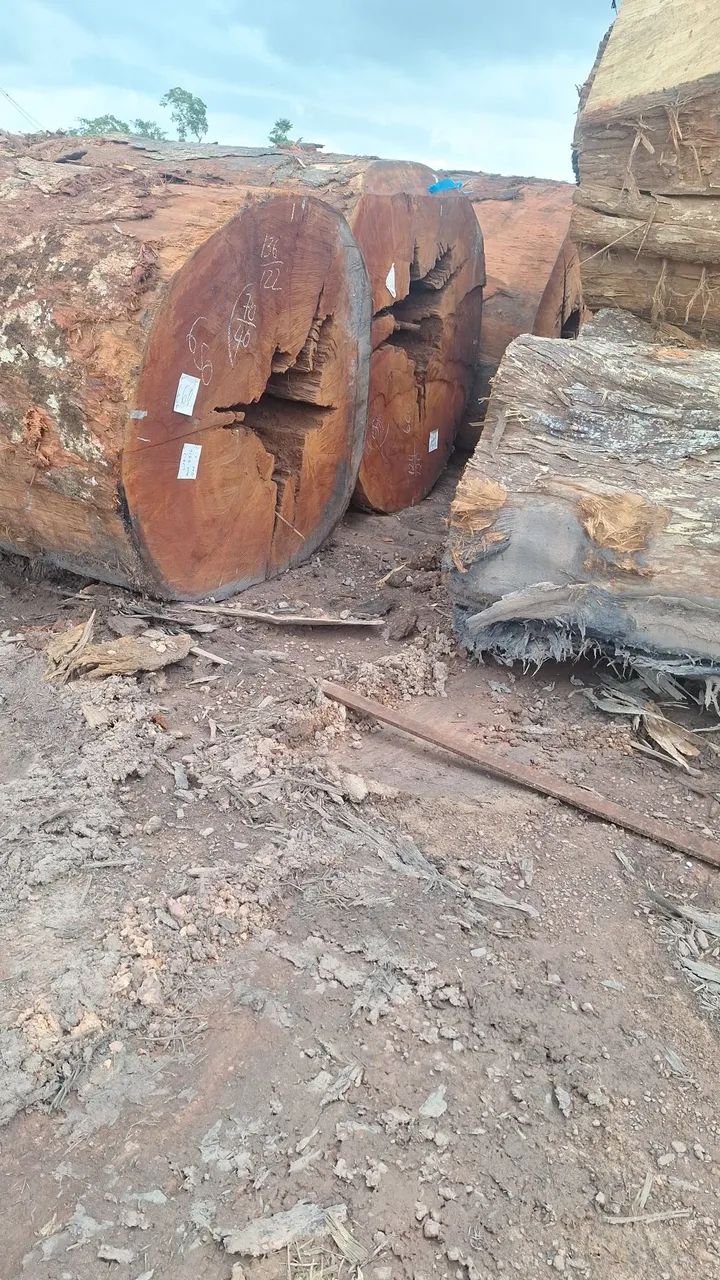 Madeiras rústica 