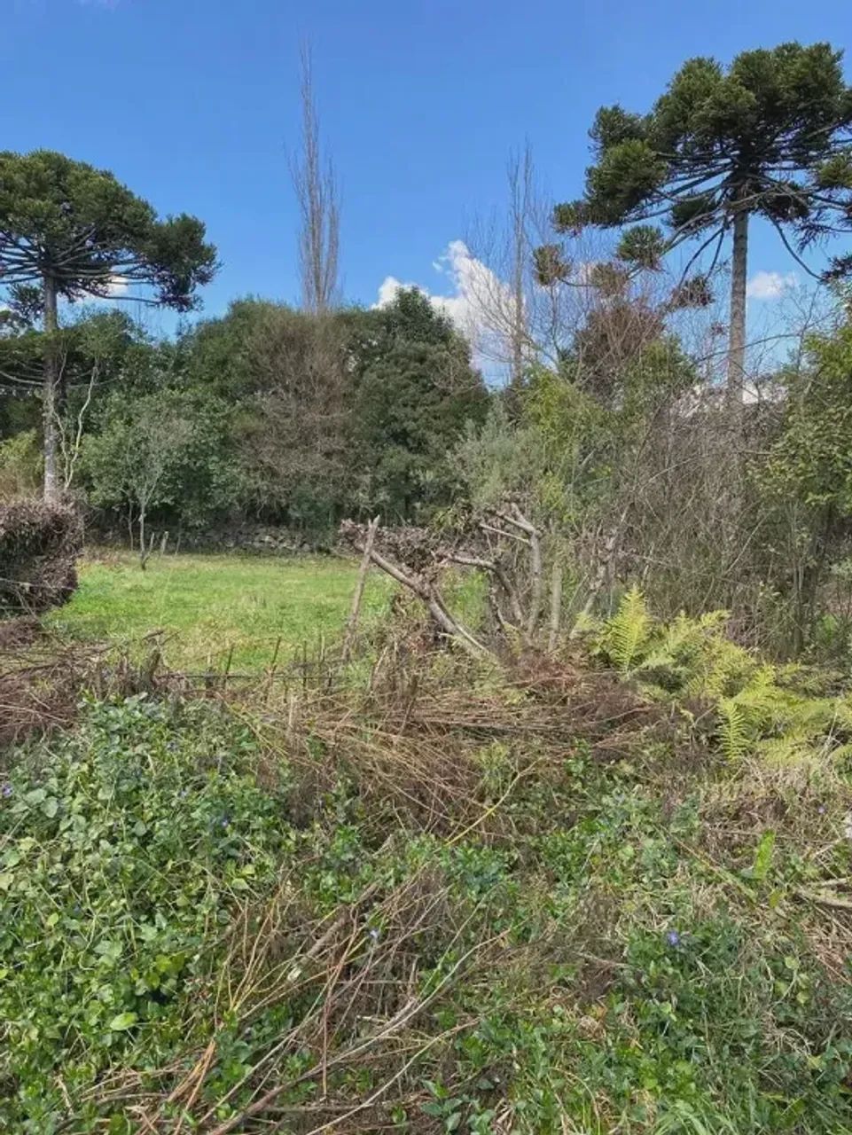LOTE EM URUPEMA À VENDA - Foto 3