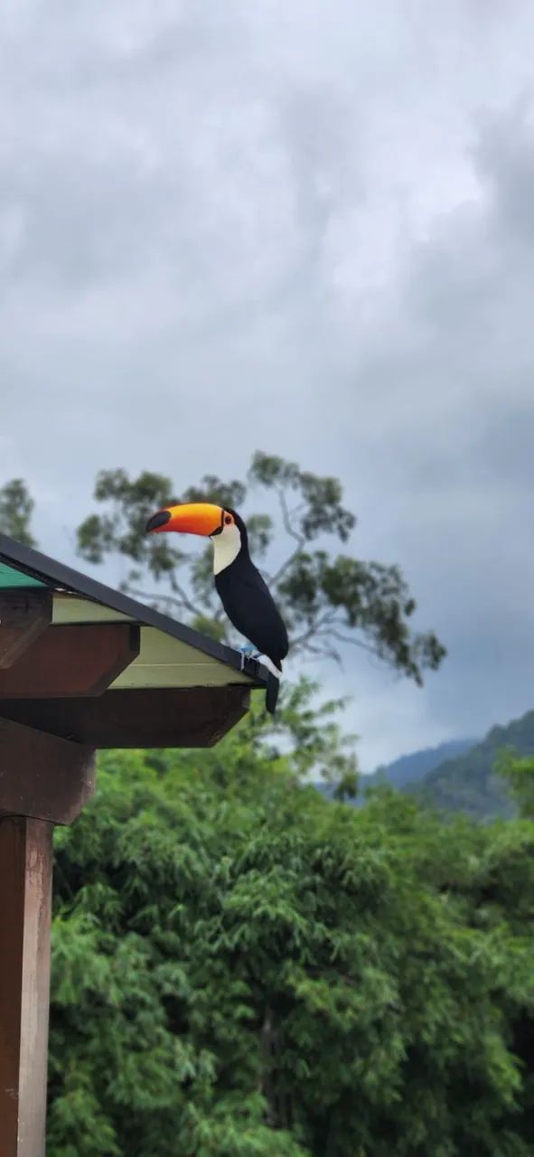 Foto - Rio de Janeiro - Jacarepaguá