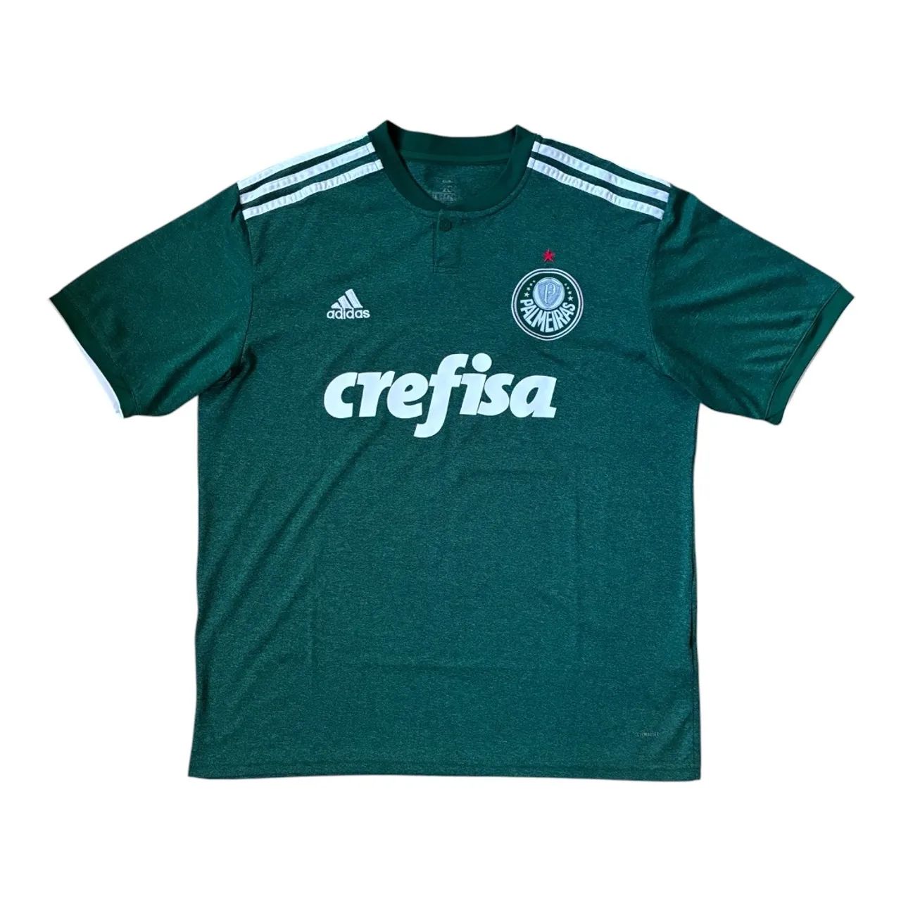 Camisa 1 Palmeiras - 2018 (Dudu)