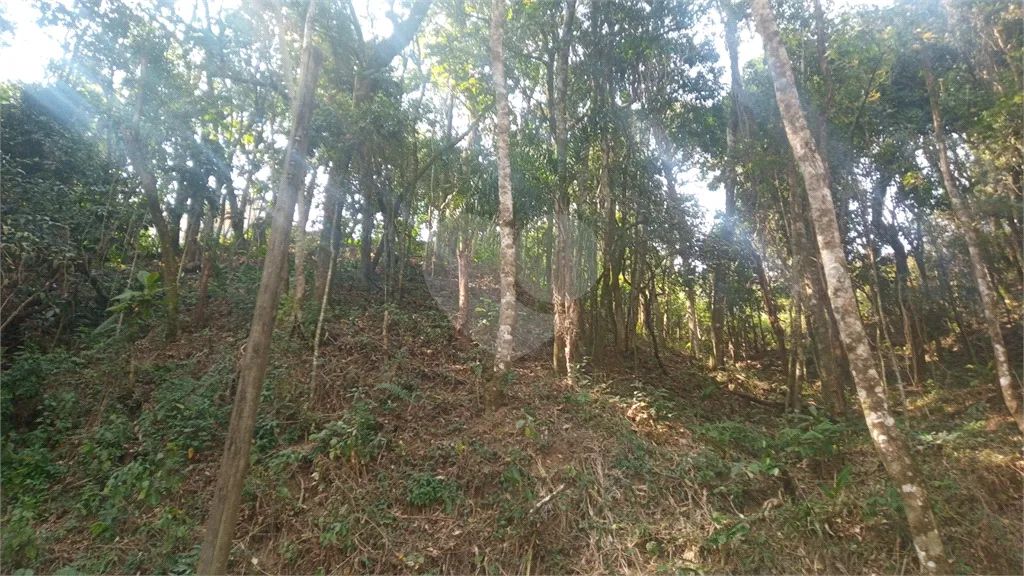 Terreno à venda em Caraguatá - SP - Foto 4