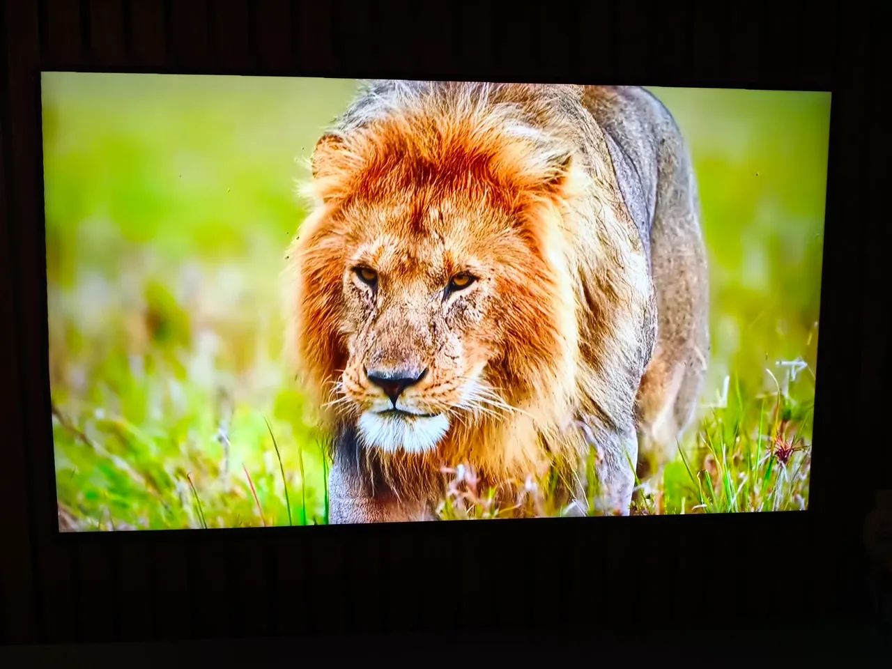 Tv 49 polegadas  4k LG  - Foto 2
