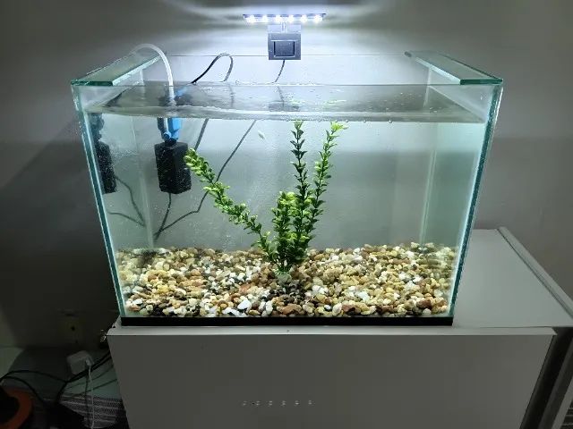 Aquário Completo 50L - Foto 2