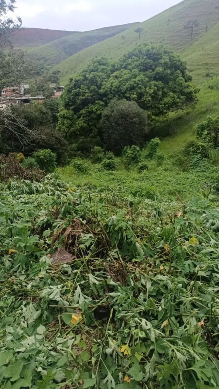 Terreno em Monlevade Nova Esperança  - Foto 4