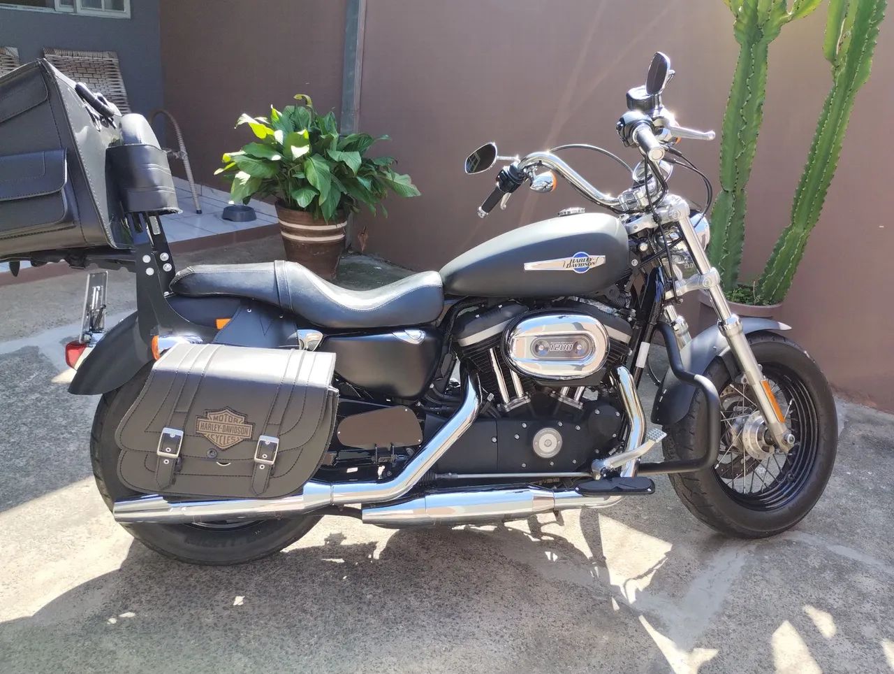 Harley 1200 custom 