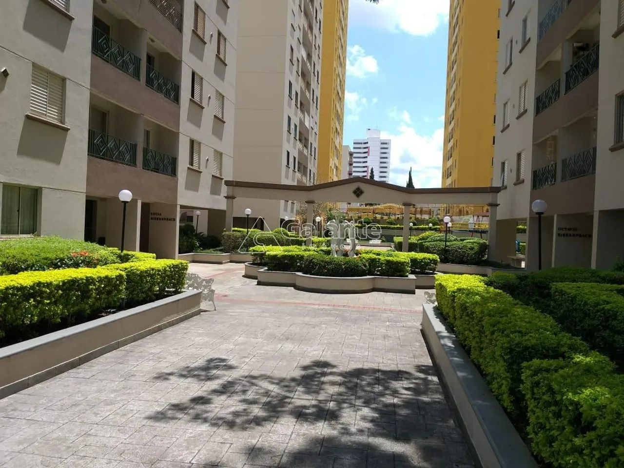 apartamento - Guanabara - Campinas - Foto 4