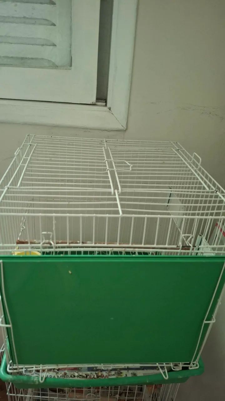 Gaiola para Pássaros Calopsita - Foto 4