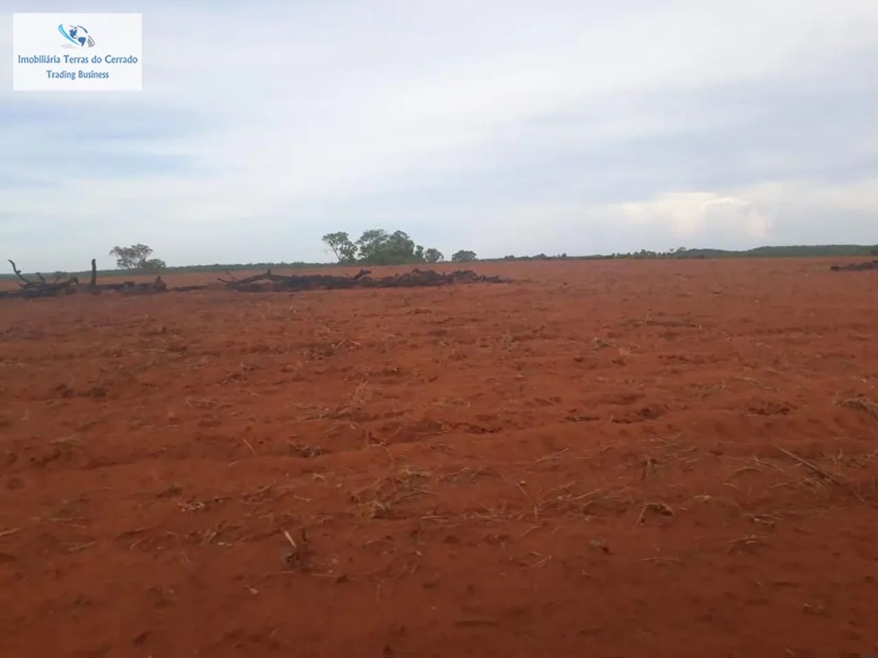 FAZENDA COM 435 HECTARES ARRENDADA PRA CANA - Foto 4