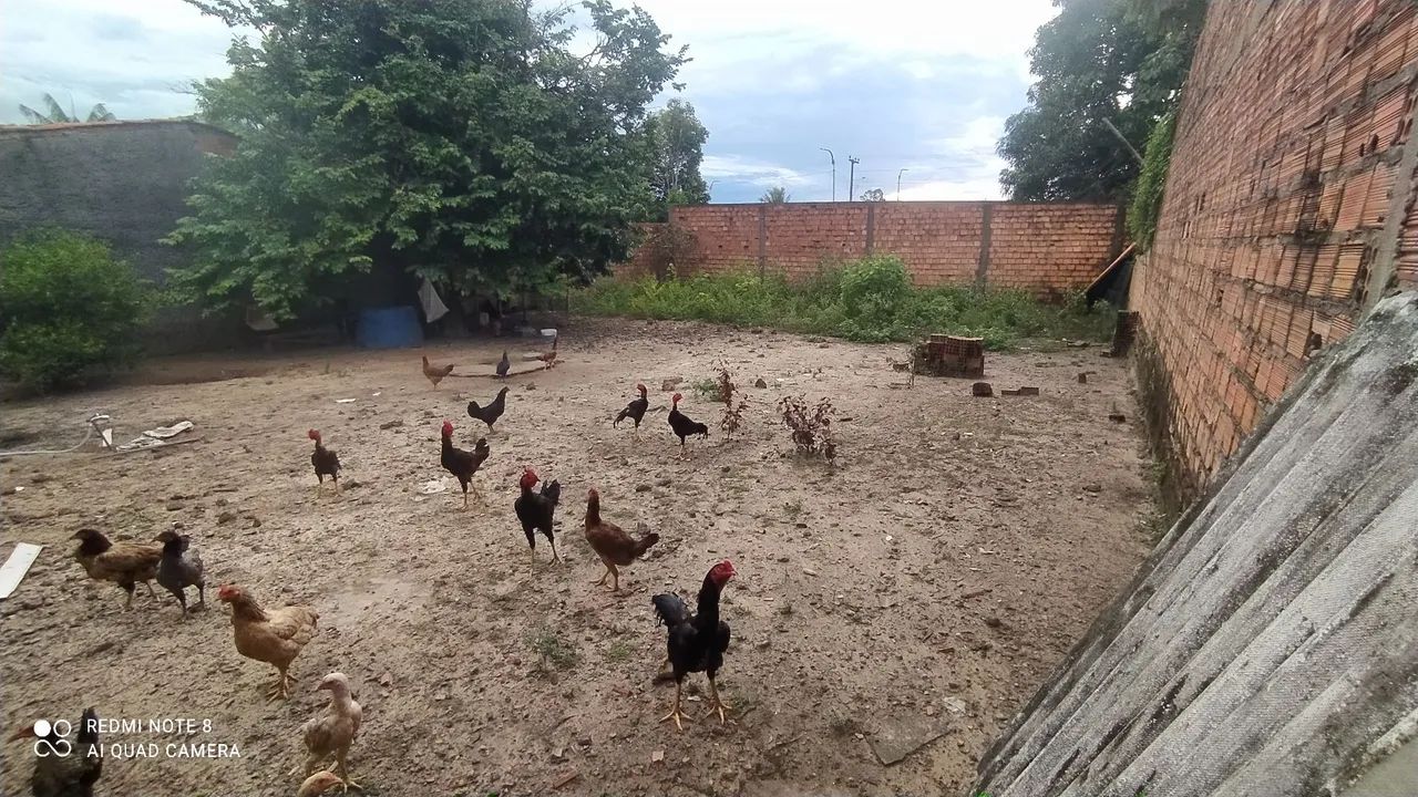 Vende-se terreno  - Foto 4