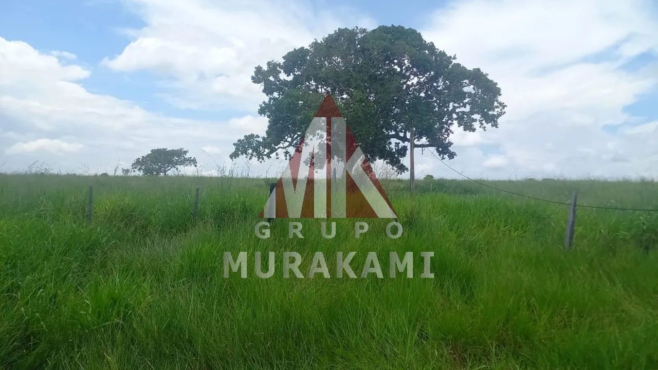 FAZENDA - SÃO GABRIEL DO OESTE - MS - Foto 4