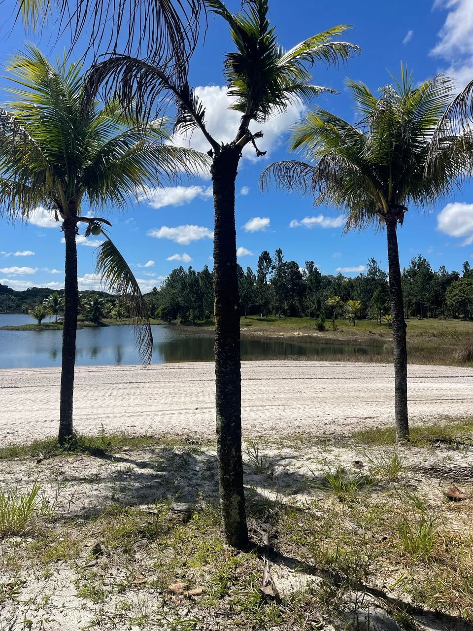 Terreno condomínio Costa do Sauípe Lagoa Residence vendo. - Foto 3