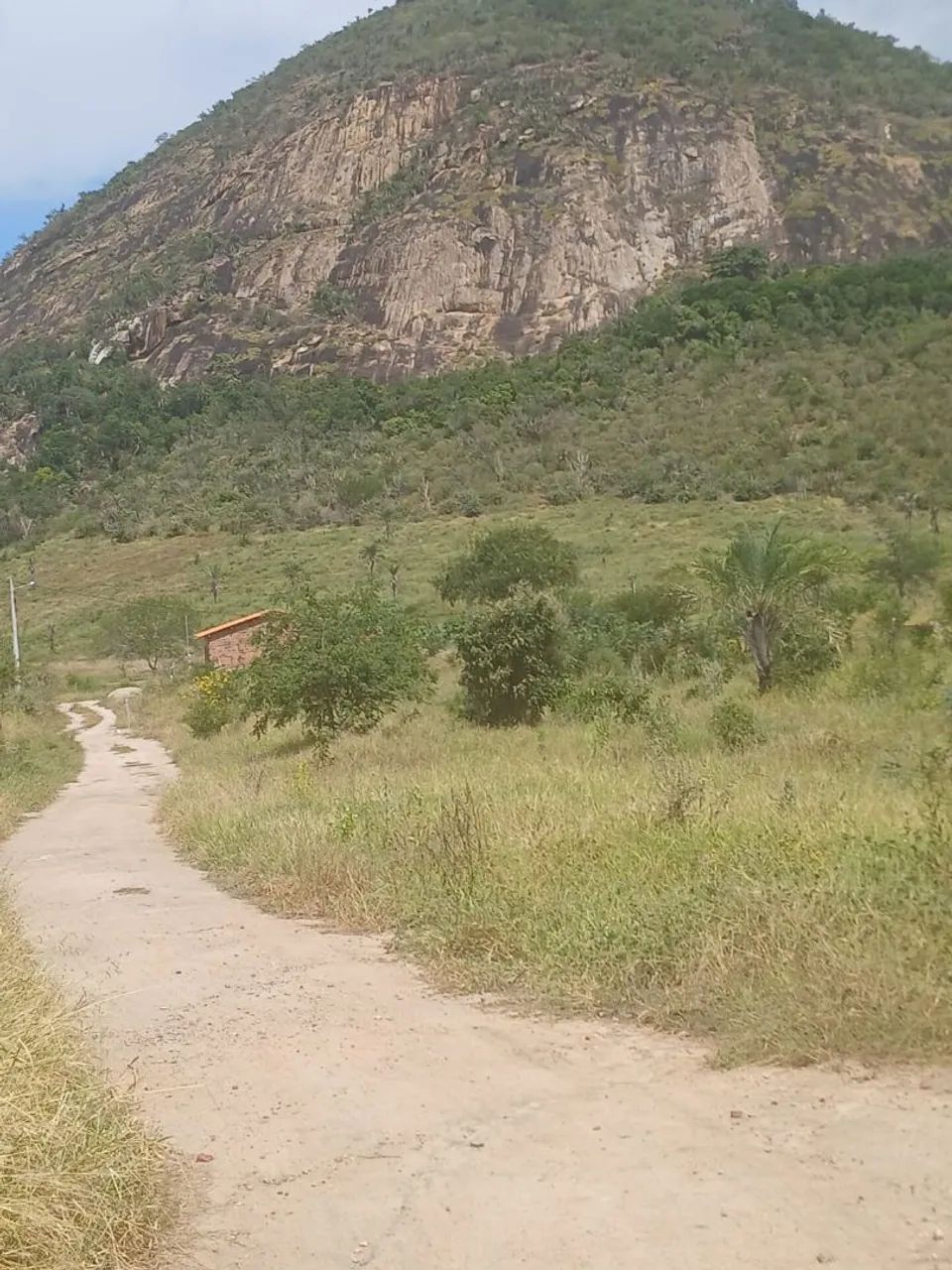 Terreno  - Foto 3