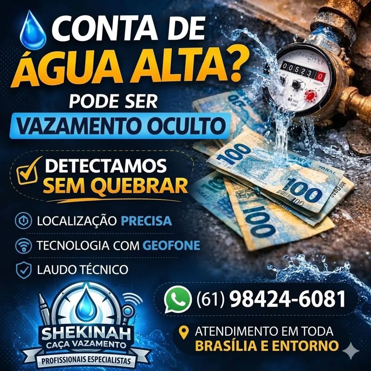 Caça vazamento  valparaiso santa Maria  - Foto 4