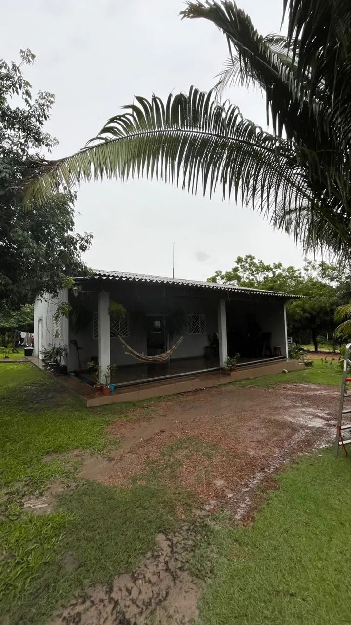 Oportunidade de compra fazenda em Codó 