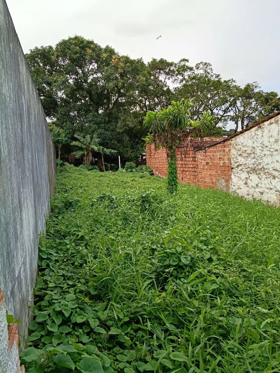Vendo ou troco  - Foto 2
