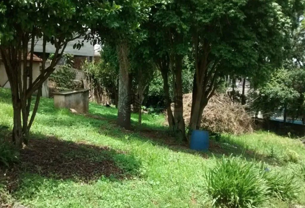 Terreno Comercial - Foto 3