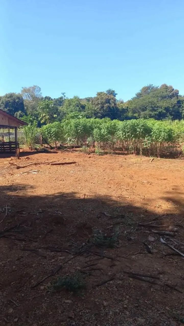Sítio a venda - Foto 4