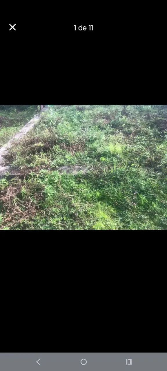 Vendo esse terreno 