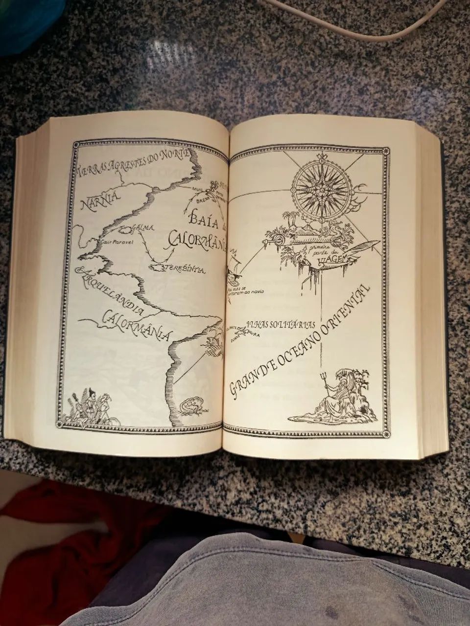 CRÔNICAS DE NÁRNIA - VOLUME ÚNICO  - Foto 4