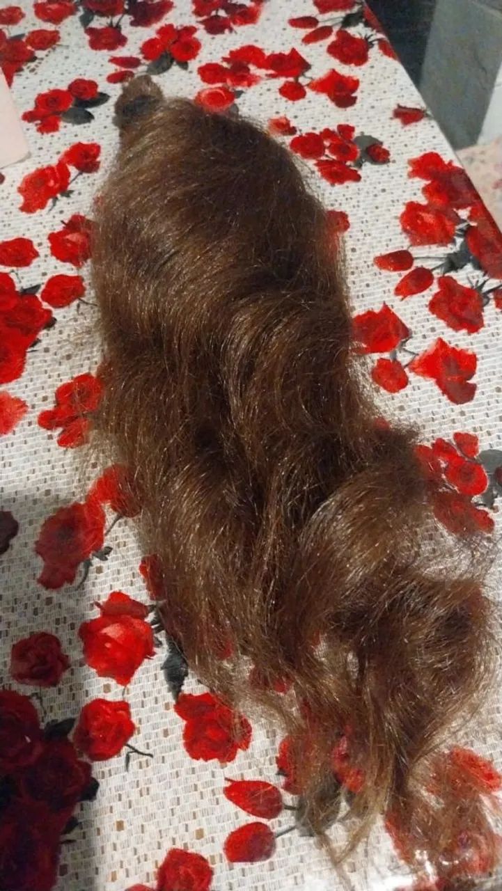 Vendo Cabelo Natural Virgem - 51/52 cm - Excelente Qualidade - Foto 2