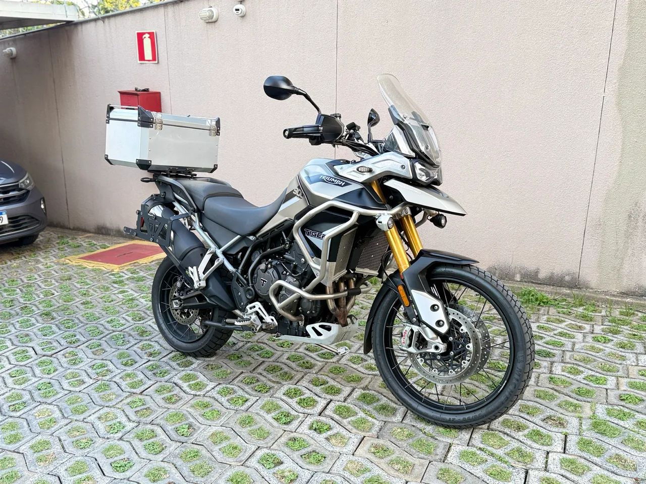 Tiger 900 Rally Pro 