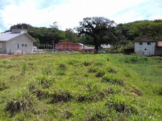 Terreno em São Pedro de Alcântara - Foto 3