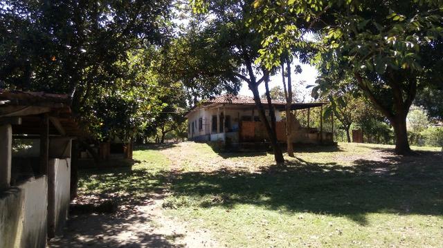 Chacara urbana Santa Laura - Foto 5