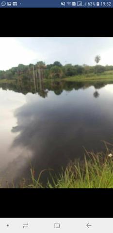Faz. 12 alqueires à 30 km de Imperatriz- porteira fechada * - Foto 3