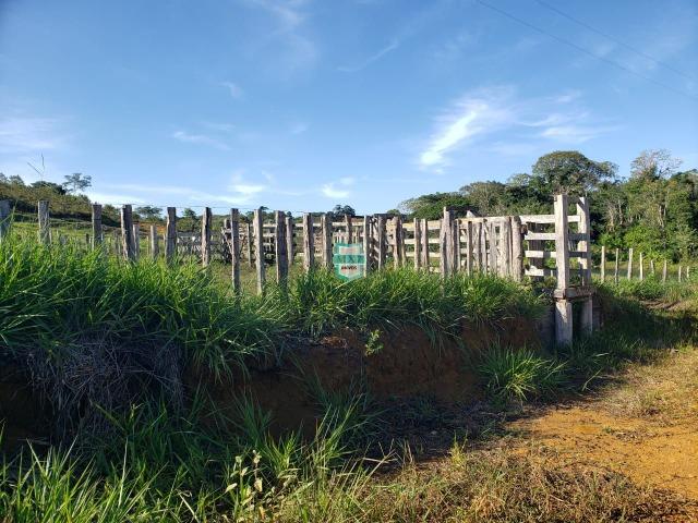 Ubaitaba. Fazenda com 140 Hectares. Mista de cacau e gado - Foto 7
