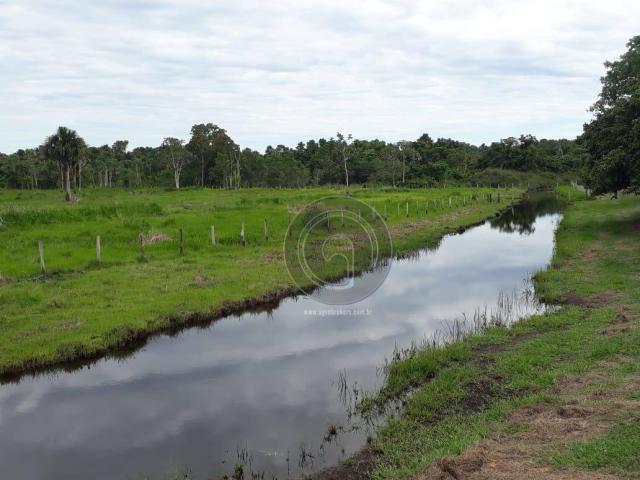 Chacara 40 hectares em mimoso - Foto 17