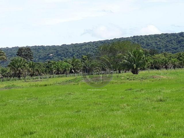 Chacara 40 hectares em mimoso - Foto 4