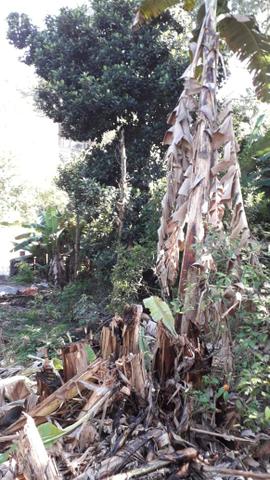 Vende-se terreno no Jardim Paulista - Foto 2