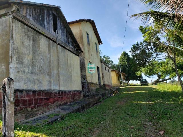 Ubaitaba. Fazenda com 140 Hectares. Mista de cacau e gado - Foto 6